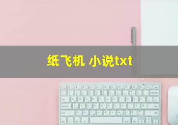 纸飞机 小说txt